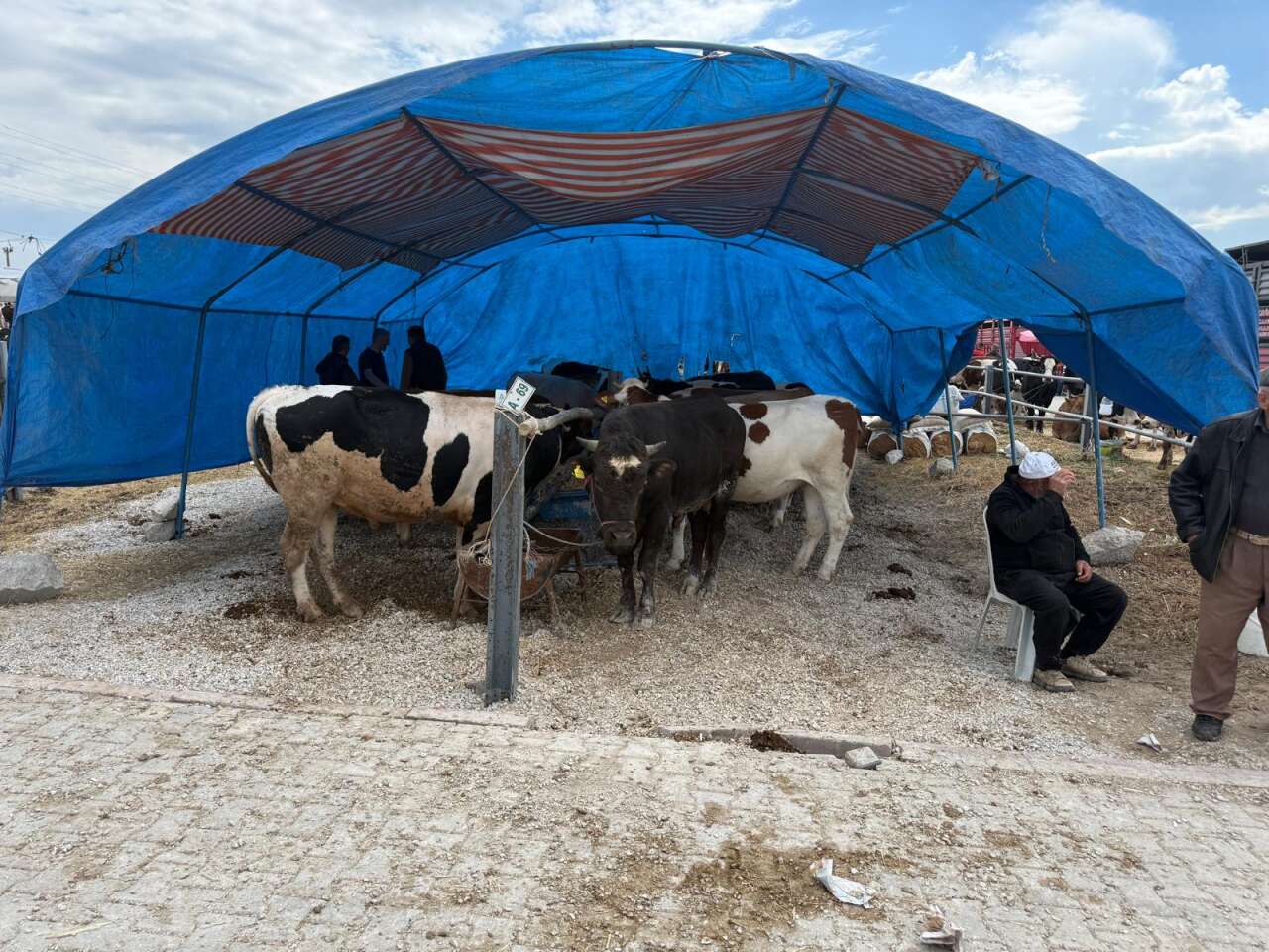 Konya’da arefe yoğunluğu! Kurban pazarlarında sıkı pazarlık yapılıyor 3